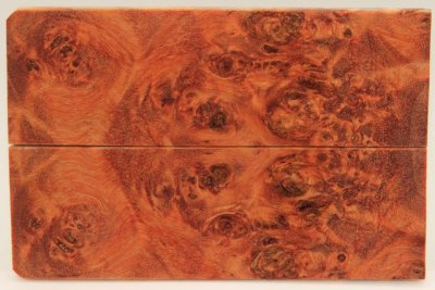 Plaquettes pour la coutellerie, Loupe de Peuplier stabilisé orange, ref:PLpPEs71235o