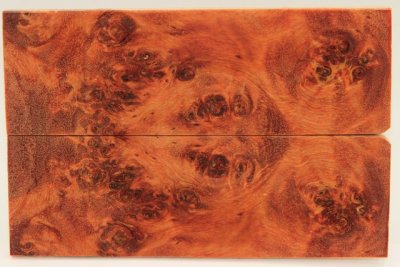 Plaquettes pour la coutellerie, Loupe de Peuplier stabilisé orange, ref:PLpPEs71236o