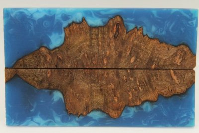 Plaquettes pour la coutellerie, loupe de Chechen + résine bleue, ref:PRLpChCh71939