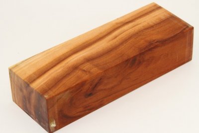 Bloc pour la coutellerie, Prunier, ref:BPRU72063