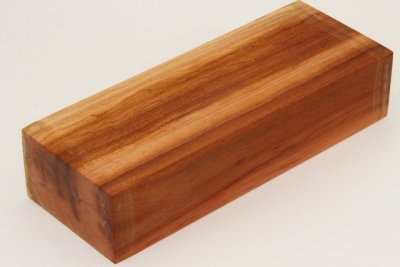 Bloc pour la coutellerie, Prunier, ref:BPRU72065