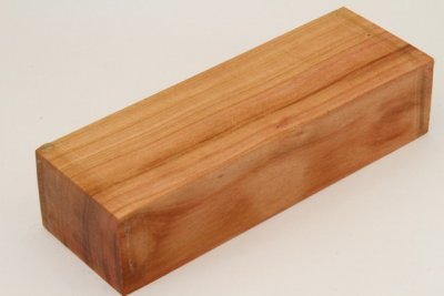 Bloc pour la coutellerie, Prunier, ref:BPRU72064