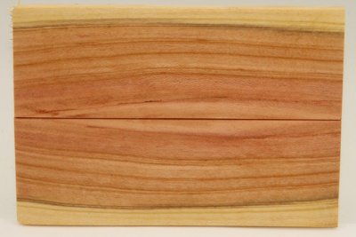 Plaquettes pour la coutellerie, Prunier, ref:PPRU72059