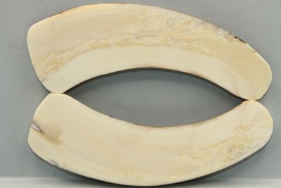 A-Plaquettes pour la coutellerie, défense de phacochère, ref:PPHACO72054