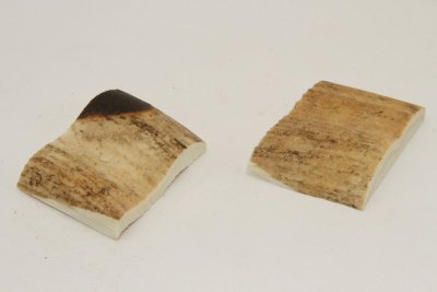 Mitres, défense de phacochère, ref:MPHACO72161