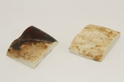 Mitres, défense de phacochère, ref:MPHACO72159