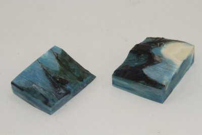 Mitres, défense de phacochère stabilisée bleue, ref:MPHACOs72154