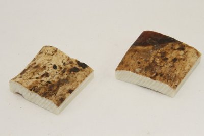 Mitres, défense de phacochère, ref:MPHACO72160