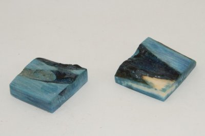 Mitres, défense de phacochère stabilisée bleue, ref:MPHACOs72156