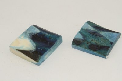 Mitres, défense de phacochère stabilisée bleue, ref:MPHACOs72157