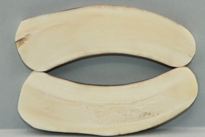 A-Plaquettes pour la coutellerie, défense de phacochère, ref:PPHACO72250