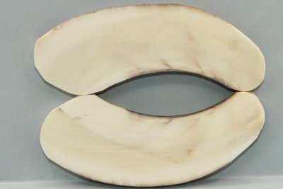 A-Plaquettes pour la coutellerie, défense de phacochère, ref:PPHACO72251