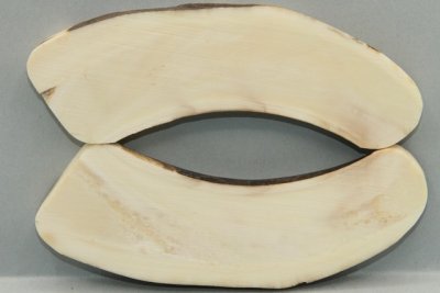 A-Plaquettes pour la coutellerie, défense de phacochère, ref:PPHACO72310