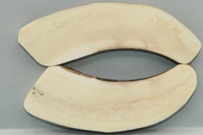 A-Plaquettes pour la coutellerie, défense de phacochère, ref:PPHACO72311