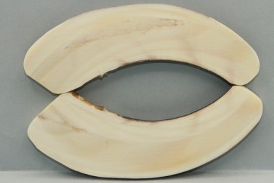 A-Plaquettes pour la coutellerie, défense de phacochère, ref:PPHACO72313