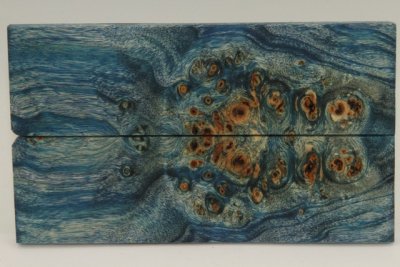 Plaquettes pour la coutellerie, Loupe de Peuplier stabilis&eacute;e bleue, ref:PLpPEs72595b