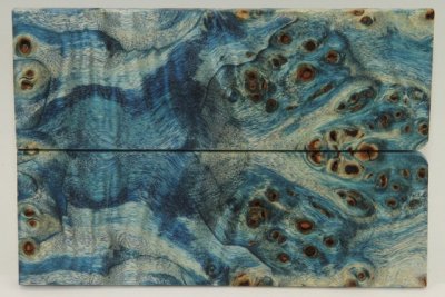 Plaquettes pour la coutellerie, Loupe de Peuplier stabilis&eacute;e bleue, ref:PLpPEs72596b