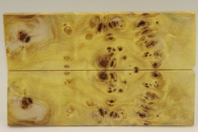 Plaquettes pour la coutellerie, Loupe de Peuplier stabilis&eacute; jaune, ref:PLpPEs72600j