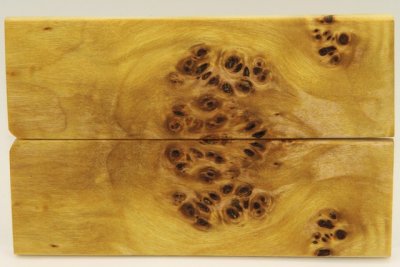 Plaquettes pour la coutellerie, Loupe de Peuplier stabilis&eacute; jaune, ref:PLpPEs72602j