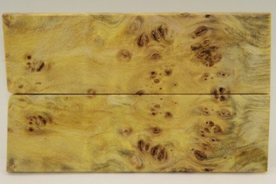 Plaquettes pour la coutellerie, Loupe de Peuplier stabilis&eacute; jaune, ref:PLpPEs72601j