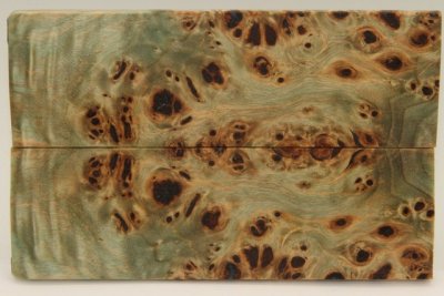 Plaquettes pour la coutellerie, Loupe de Peuplier stabilis&eacute;e vert, ref:PLpPEs72606ve