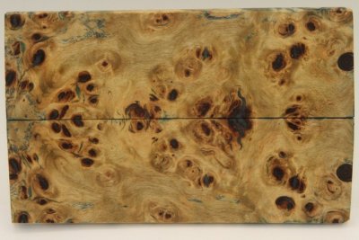 Plaquettes pour la coutellerie, Loupe de Peuplier stabilis&eacute;e multicolore, ref:PLpPEs72610mu