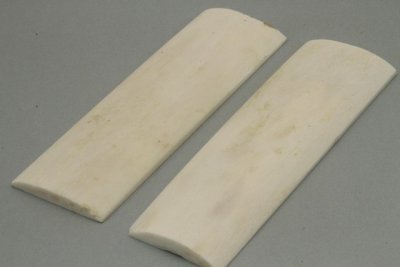 Os de chameau, naturel, ref:POCHA72742