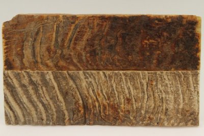 Plaquettes pour la coutellerie, corne de b&eacute;lier, ref:PBLR73005