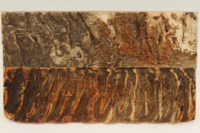 Plaquettes pour la coutellerie, corne de b&eacute;lier, ref:PBLR73006