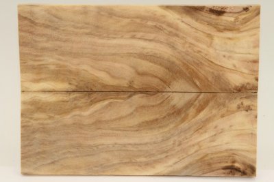 Plaquettes pour la coutellerie, Olivier, ref:PO73234