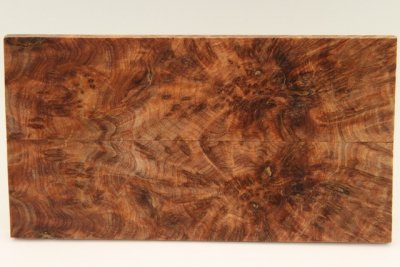 Plaquettes pour la coutellerie, Ronce de Thuya du Maroc, ref:PLpTM73270