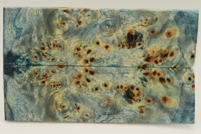 Plaquettes pour la coutellerie, Loupe de Peuplier stabilis&eacute;e bleue, ref:PLpPEs73445b