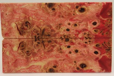 Plaquettes pour la coutellerie, Loupe de Peuplier stabilis&eacute; rouge, ref:PLpPEs73478r