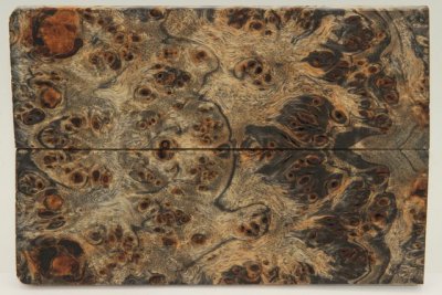 Plaquettes pour la coutellerie, Loupe de Peuplier stabilis&eacute;e noire, ref:PLpPEs73529nr