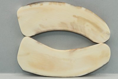 A-Plaquettes pour la coutellerie, d&eacute;fense de phacoch&egrave;re, ref:PPHACO73535