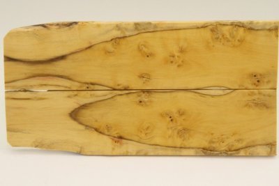 Plaquettes pour la coutellerie, loupe de Buis, ref:PLpBU73566