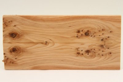 Plaquettes pour la coutellerie, loupe d'If, ref:PIF73570