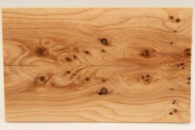 Plaquettes pour la coutellerie, loupe d'If, ref:PIF73572