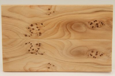 Plaquettes pour la coutellerie, loupe d'If, ref:PIF73573