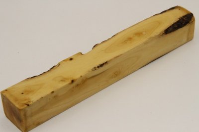 Carrelet &agrave; stylo, loupe de Buis, ref:SLpBU73653