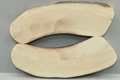 A-Plaquettes pour la coutellerie, d&eacute;fense de phacoch&egrave;re, ref:PPHACO73694