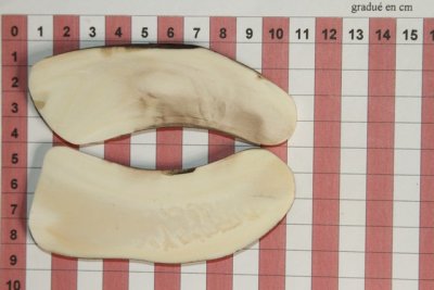 Plaquettes pour la coutellerie, d&eacute;fense de phacoch&egrave;re, ref:PPHACO73697