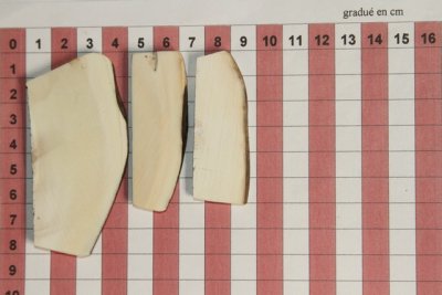 Plaquettes pour la coutellerie, d&eacute;fense de phacoch&egrave;re, ref:PPHACO73701