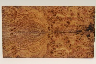 Plaquettes pour la coutellerie, loupe de Fr&ecirc;ne stabilis&eacute;e marron, ref:PLpFrs73796ma