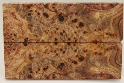 Plaquettes pour la coutellerie, Loupe de Peuplier stabilis&eacute;e marron, ref:PLpPEs73850ma