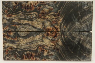 Plaquettes pour la coutellerie, Loupe de Peuplier stabilis&eacute;e noire, ref:PLpPEs73870nr