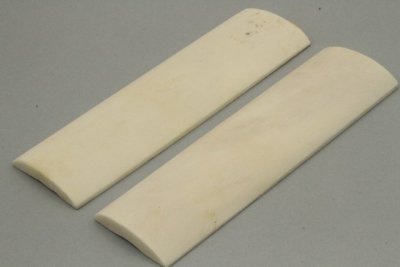 Os de chameau, naturel, ref:POCHA73888