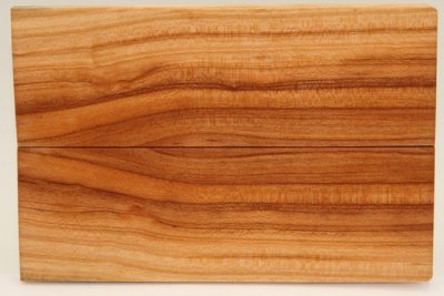 Plaquettes pour la coutellerie, Prunier, ref:PPRU74058