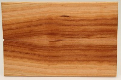 Plaquettes pour la coutellerie, Prunier, ref:PPRU74059