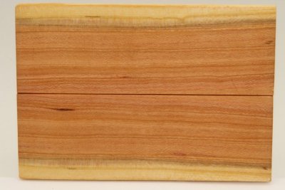 Plaquettes pour la coutellerie, Prunier, ref:PPRU74060